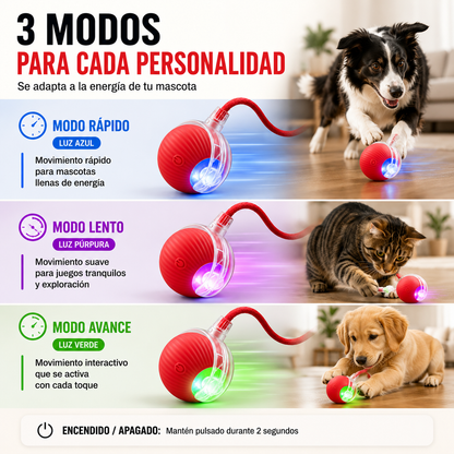 Pelota Inteligente para Mascotas